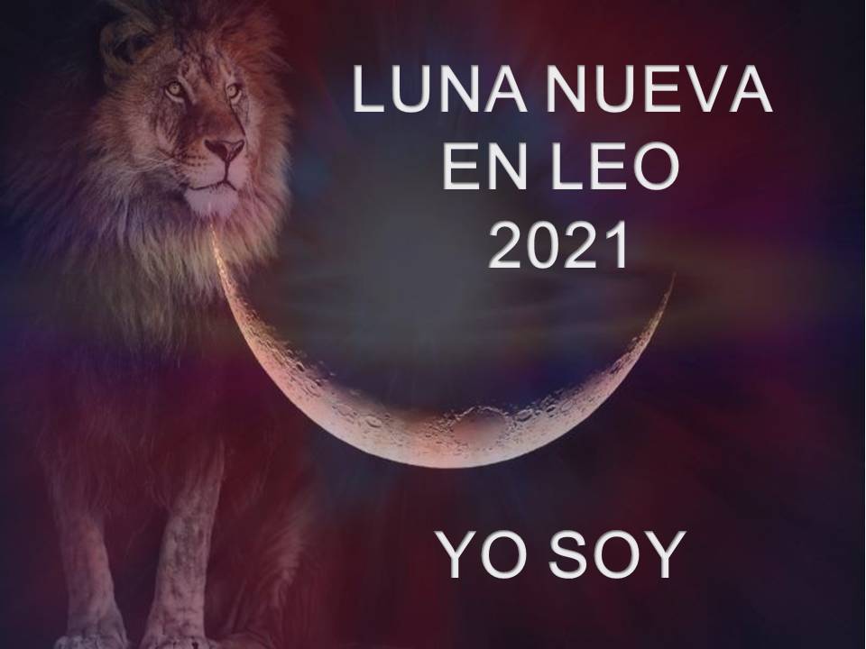 luna nueva en leo