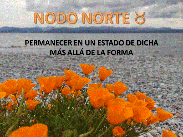 Nodo norte tauro