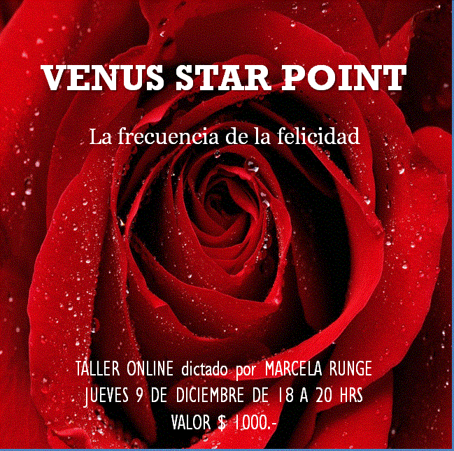 VSP taller online